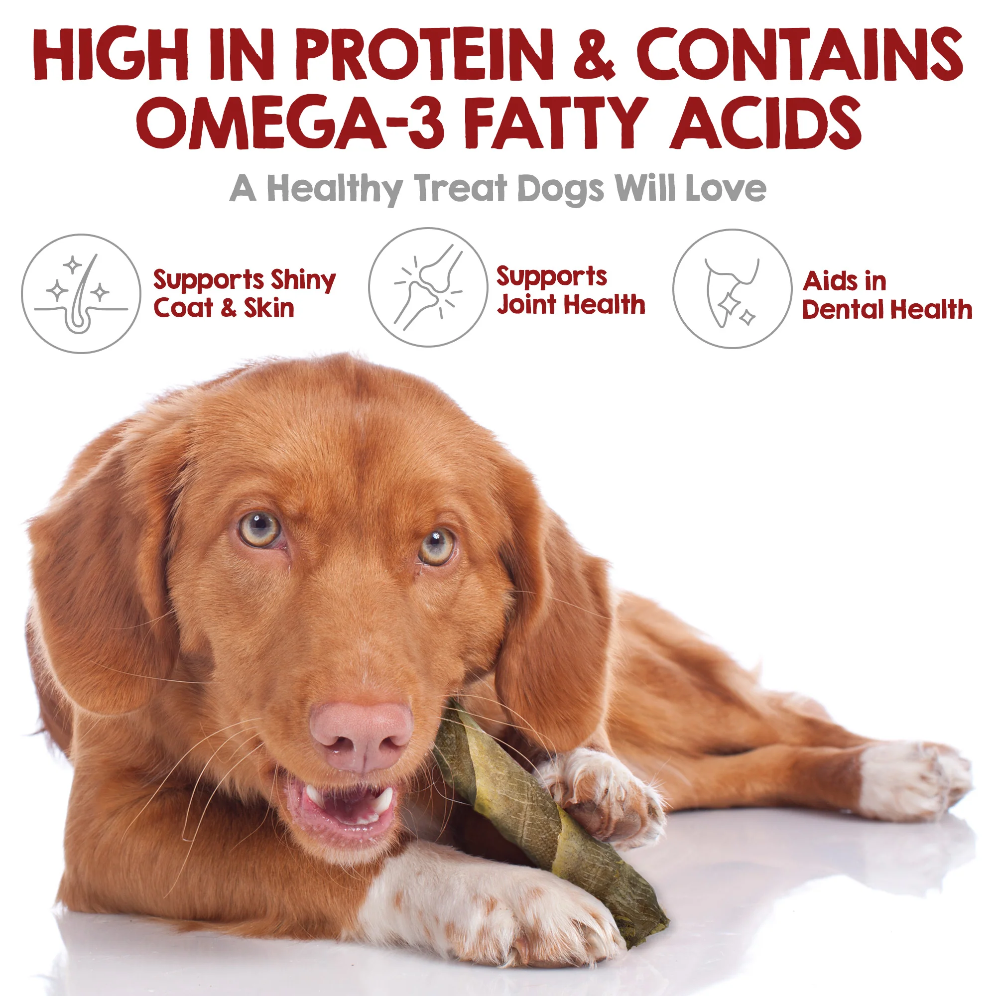 Cod Skins for Dogs (10 inch sticks, Pack of 2) - Image 3