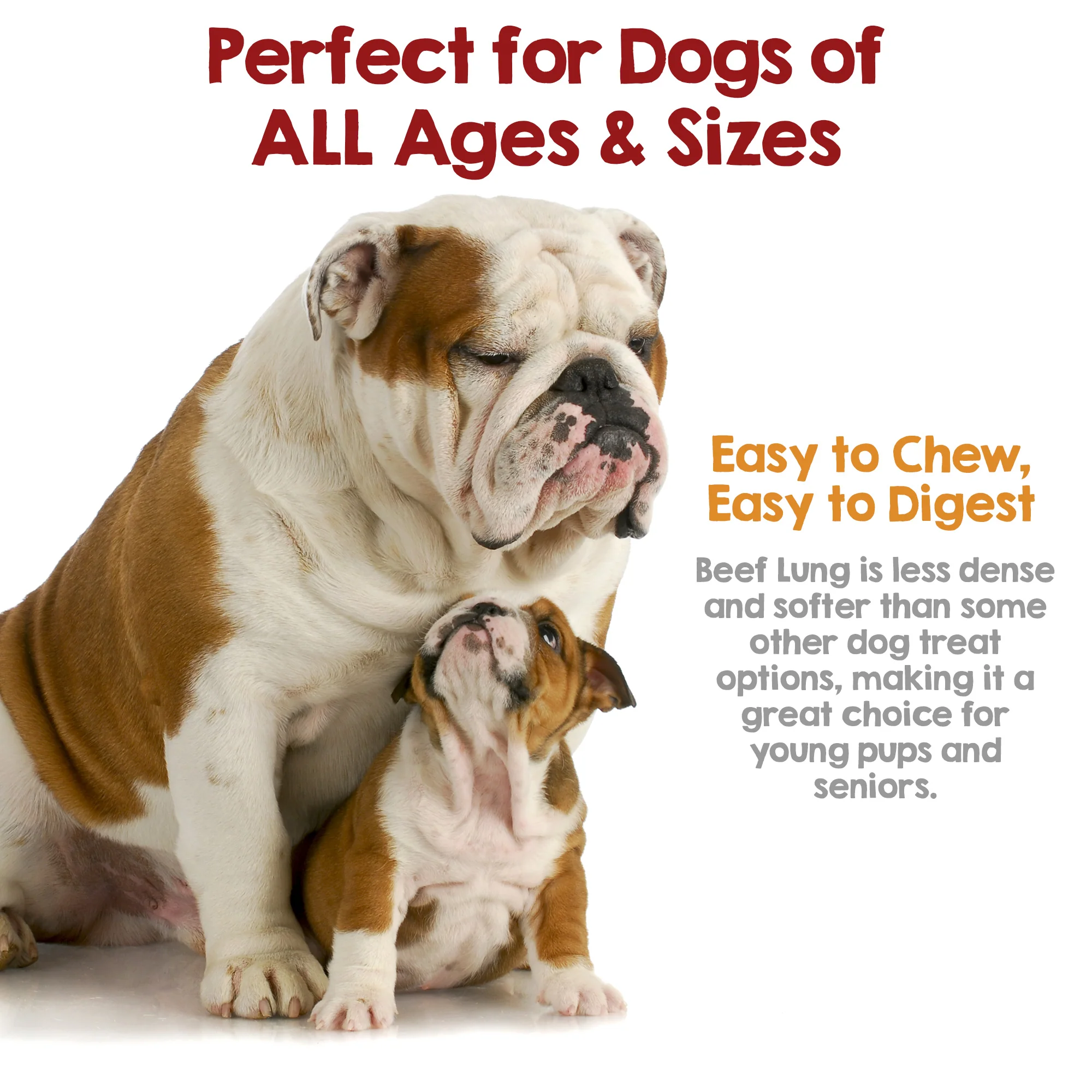 Dehydrated Beef Lung Dog Treat (8oz) - Image 5