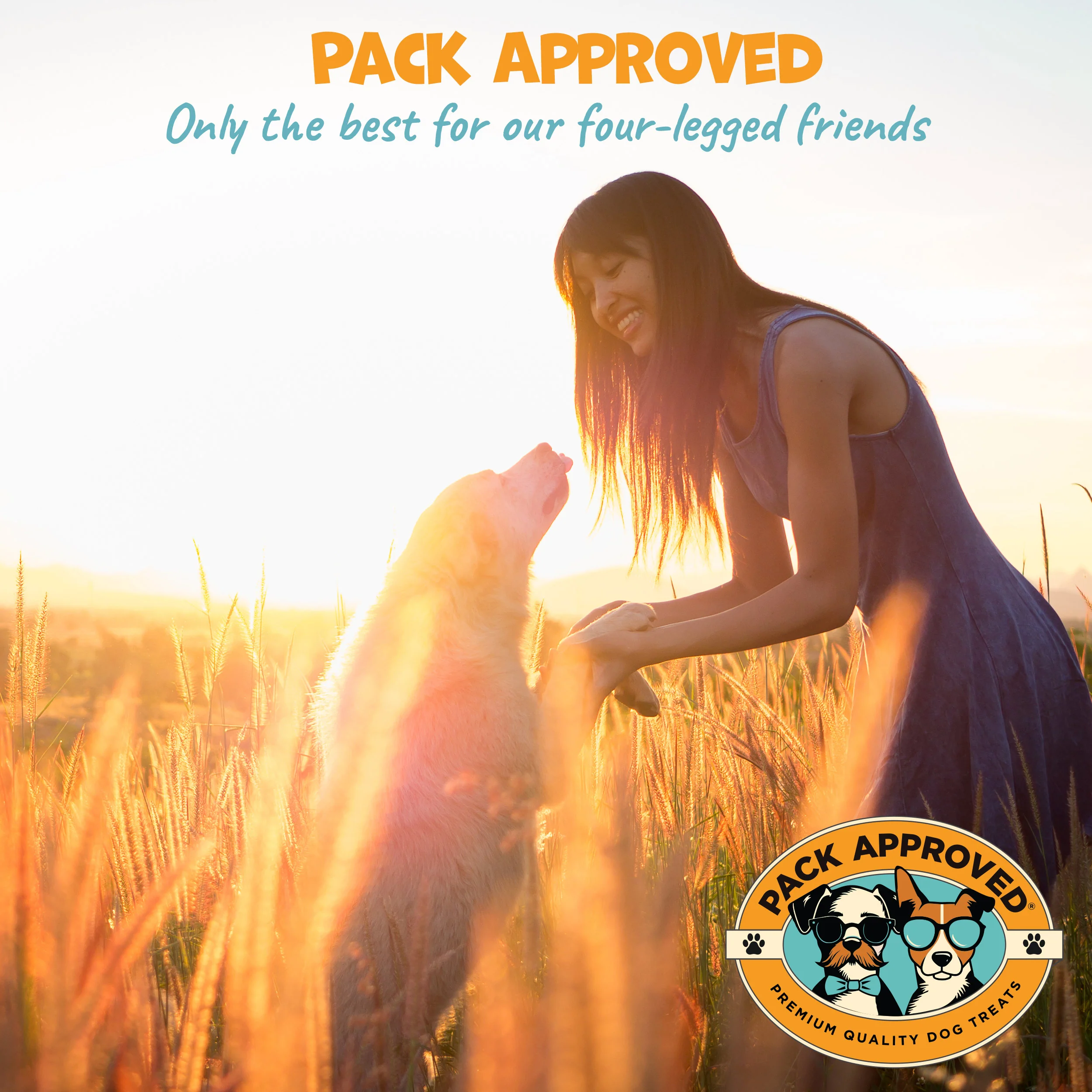 Pack Approved 6" Braided Camel Sticks (10ct) - Image 7
