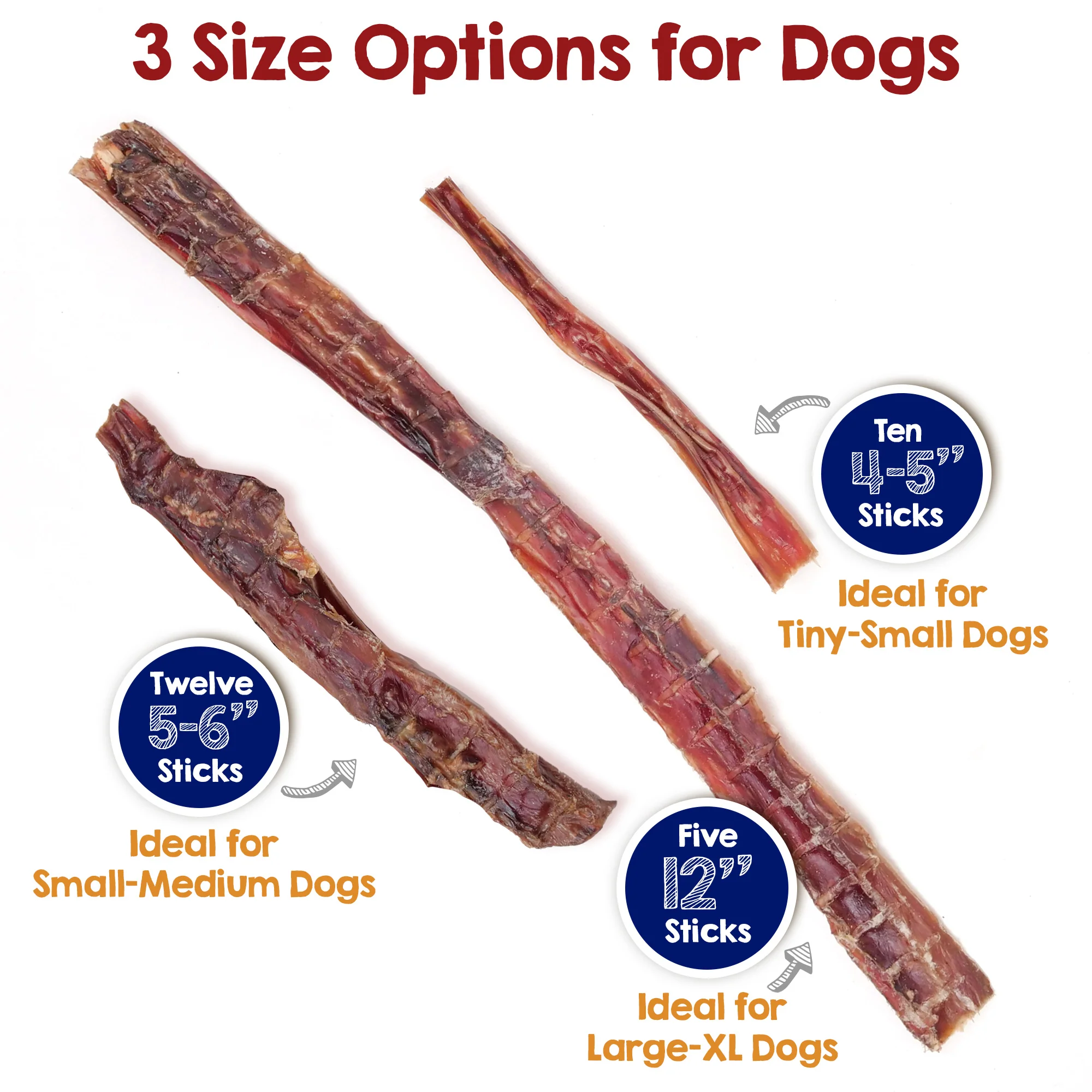 5-6" Steer Bully Sticks for Small to Medium Dogs (12 ct) - Image 4